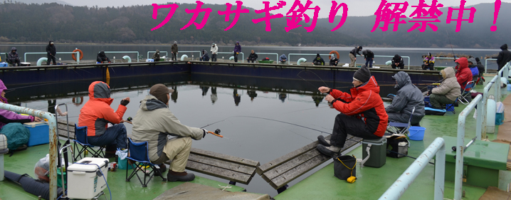 冬シーズン到来 ワカサギが釣れる関西のオススメ釣りスポットはここだ Ais 自動車情報サイト
